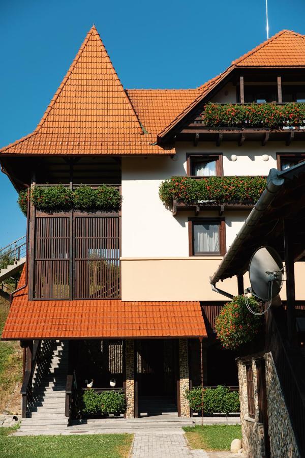Villa Gherman Salciua de Jos Экстерьер фото