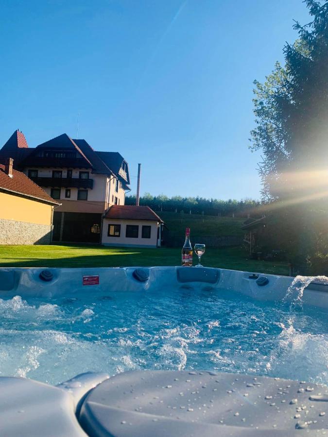 Villa Gherman Salciua de Jos Экстерьер фото